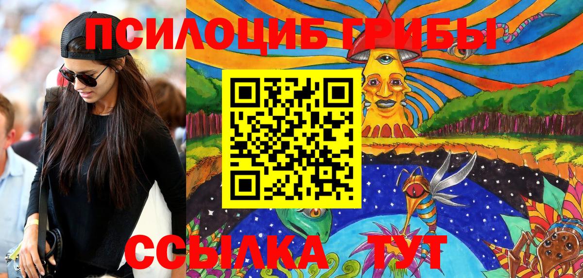 Псилоцибиновые грибы Psilocybine cubensis Евпатория