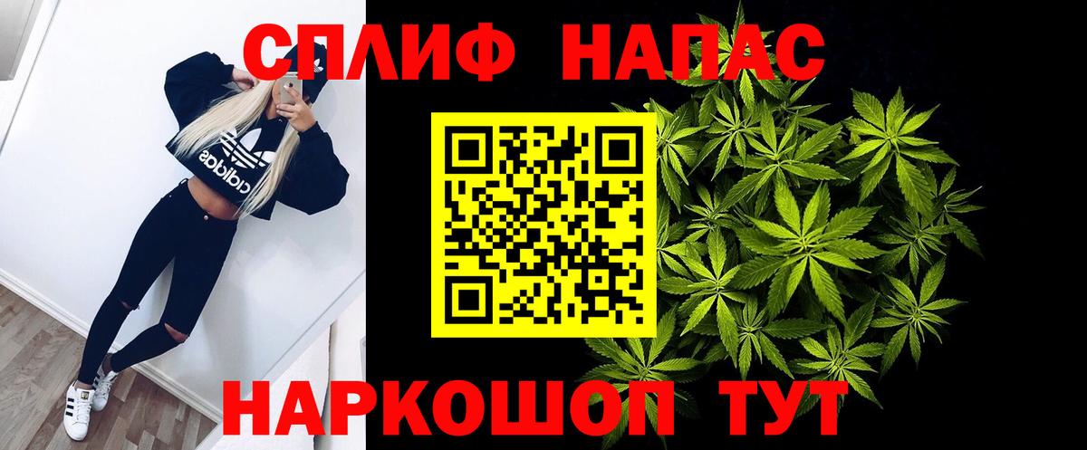 Канабис семена  Канабис семена  Вход с VPN  МАРИХУАНА семена  Евпатория  Конопля White Widow 